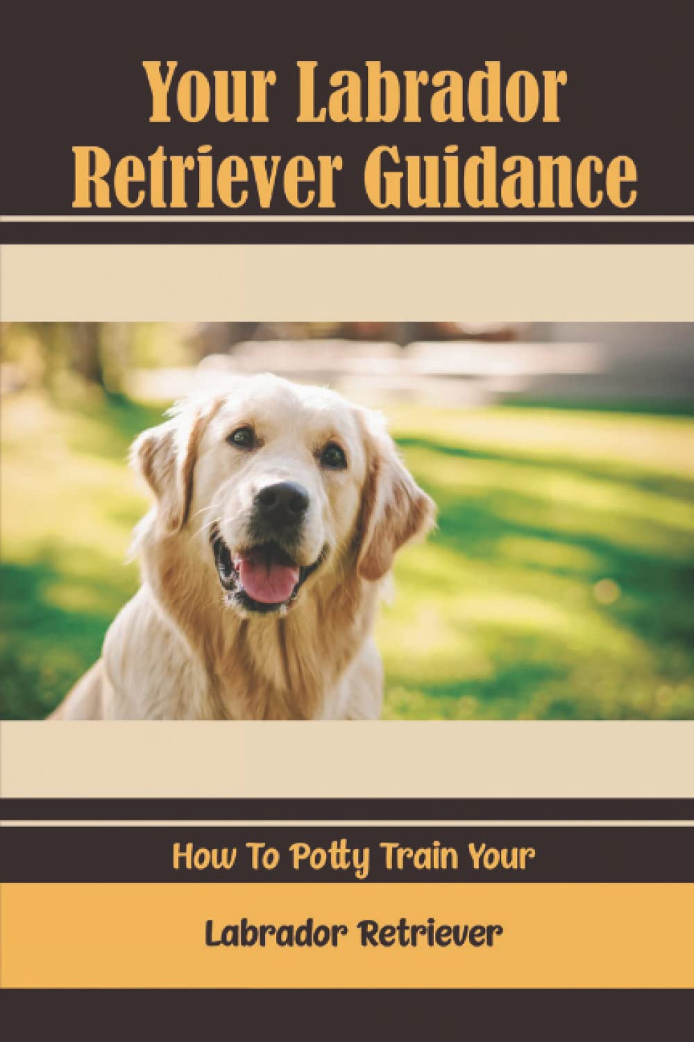 Your Labrador Retriever Guidance How To Potty Train Your Labrador