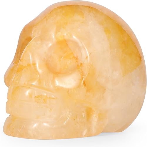 Miniatura 8 de Artistone Figura decorativa de calavera de dragón de 2.0 pulgadas, decoración de calavera de Halloween, cristales y piedras curativas, estatua