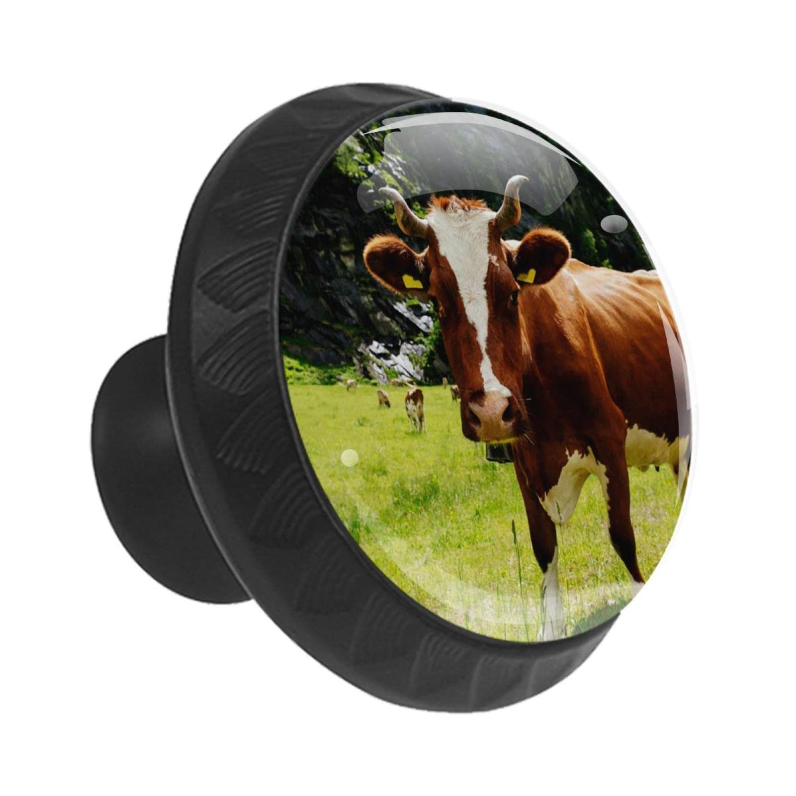 Boutons pour armoires et tiroirs pour relooker une commode en bois