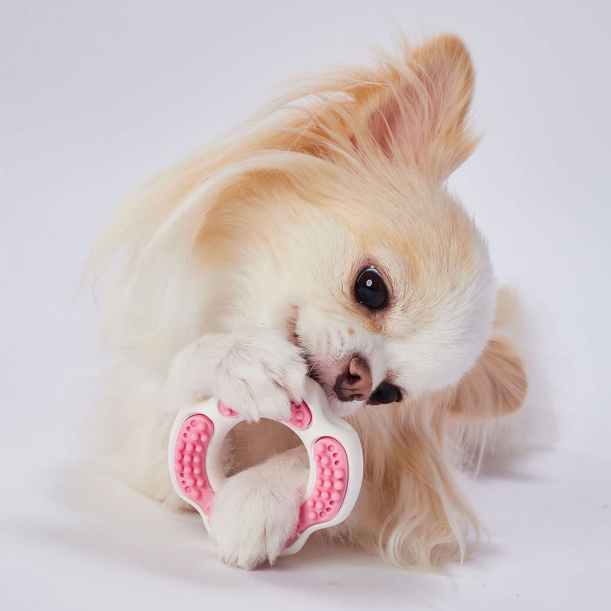 Amazon.co.jp: ペティオ (Petio) 犬用おもちゃ かんでるリングデンタル