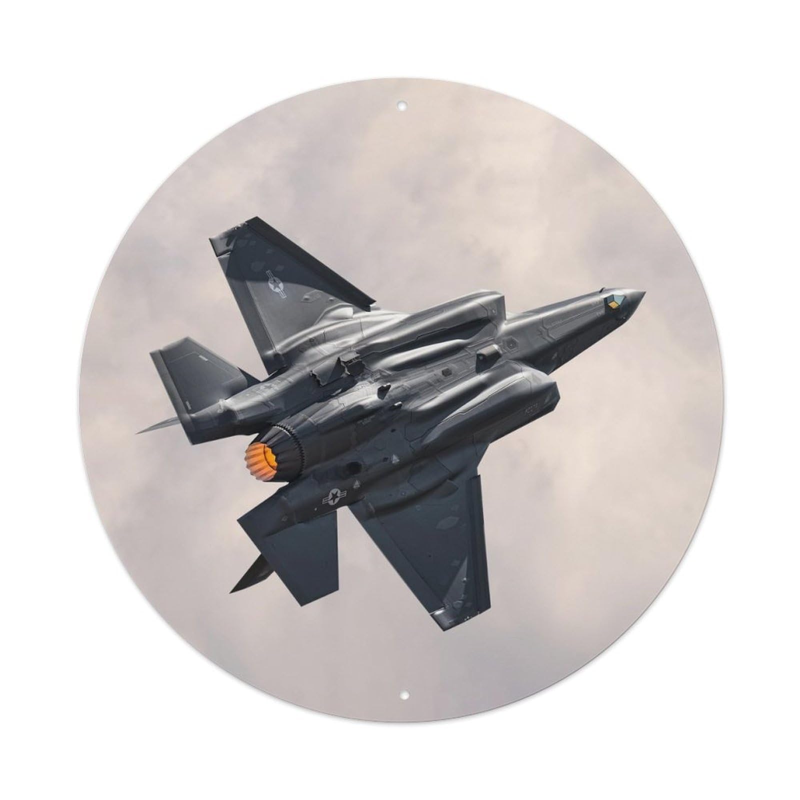 Olyhtr 8X8inch Classic Style F-35 Lightning Ii Stealth Fighter Aircraft Metal Tin Sign