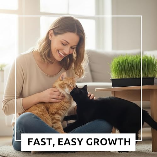 Miniatura 3 de Semillas de hierba de gato para cultivar  Mezcla de 4 vías, centeno, trigo, avena y cebada  Fabricado en Estados Unidos, se envía desde Iowa. (1