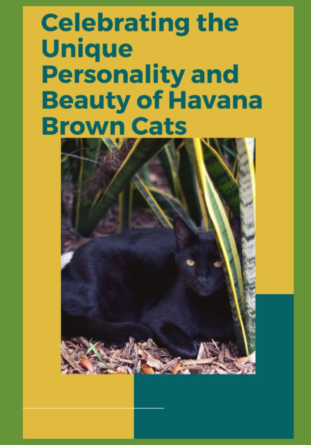 Cocoa Charmers: Celebrating the Unique Personality and Beauty of Havana Brown Cats