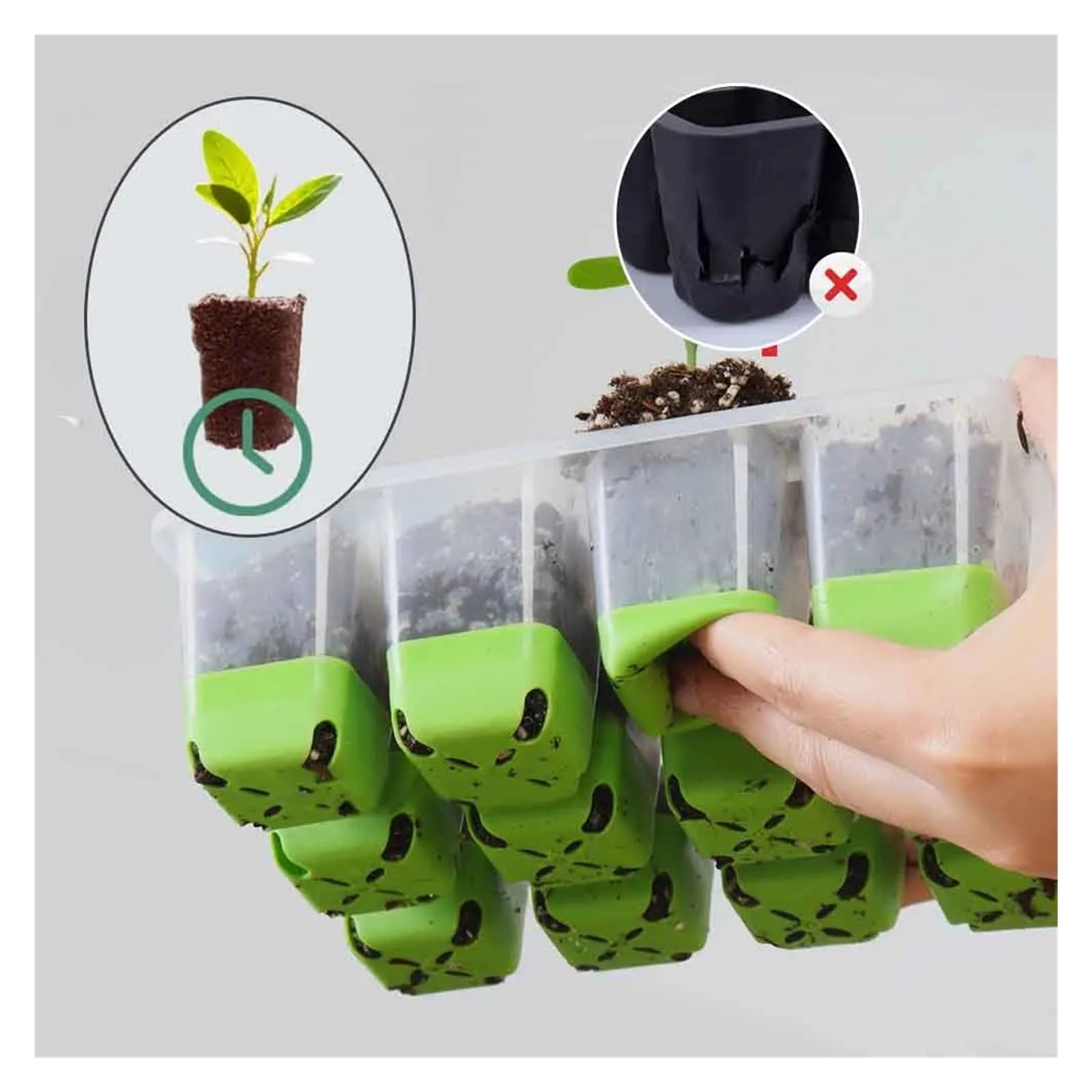 Bandejas para Semillas Bandeja de Inicio de plántulas de 12 Celdas con Cubierta Transparente Caja de germinación de Humedad Invernadero de Crecimiento for jardín Interior para Semilla(5pcs)
