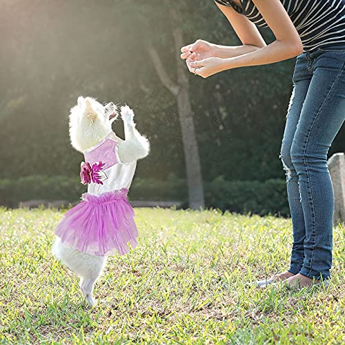 2 Pieces Spring Summer Pet Dog Dresses Lovely Puppy Skirt Flower Lace Skirt Cute and Elegant Princess Tutu Dog Dress for… - Image 5