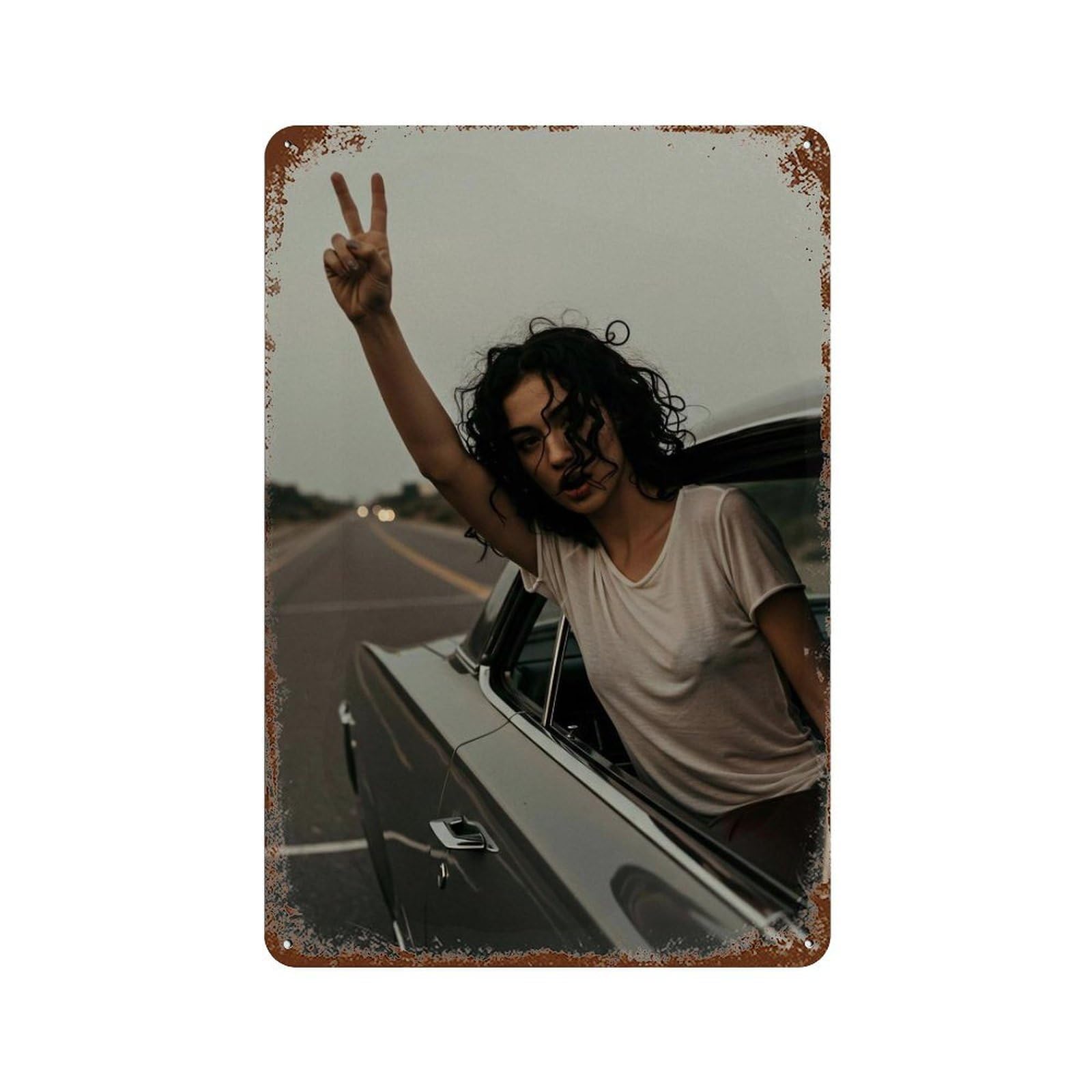 xiaoxiaoshen Peace Sign Poster, Photography Prints Wall Decor Art Metal Tin Poster Modern Home Decor Art Home Bar Shop Decorations Vintage Sign 30x20cm