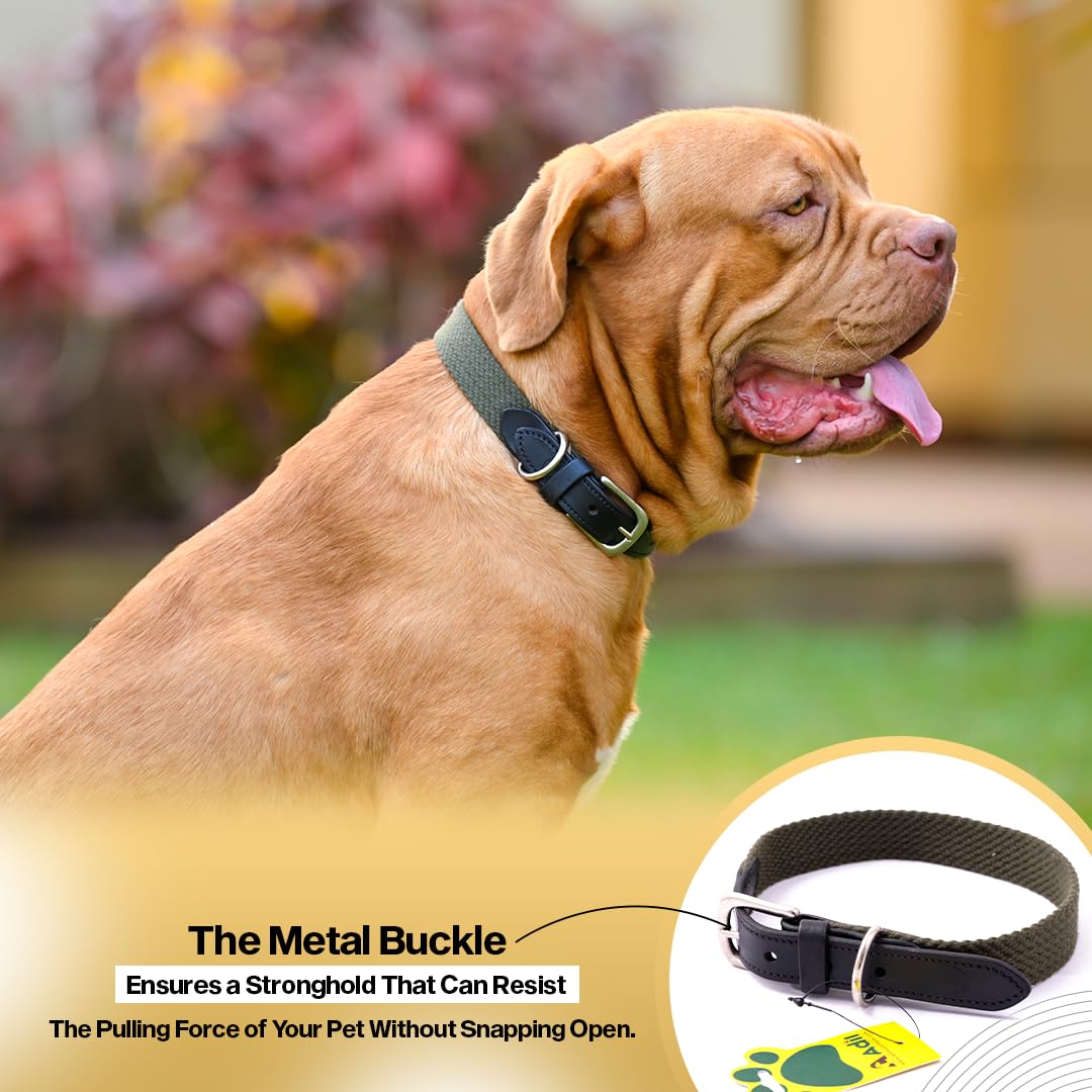 Sparrow Daughter Plain Cotton Dog Collar with Leather Reinforcement Adjustable Soft Breathable Neckbelt Heavy Duty Brass Hardware Strong D-Ring Walking Training Pets - Army Green, L 4