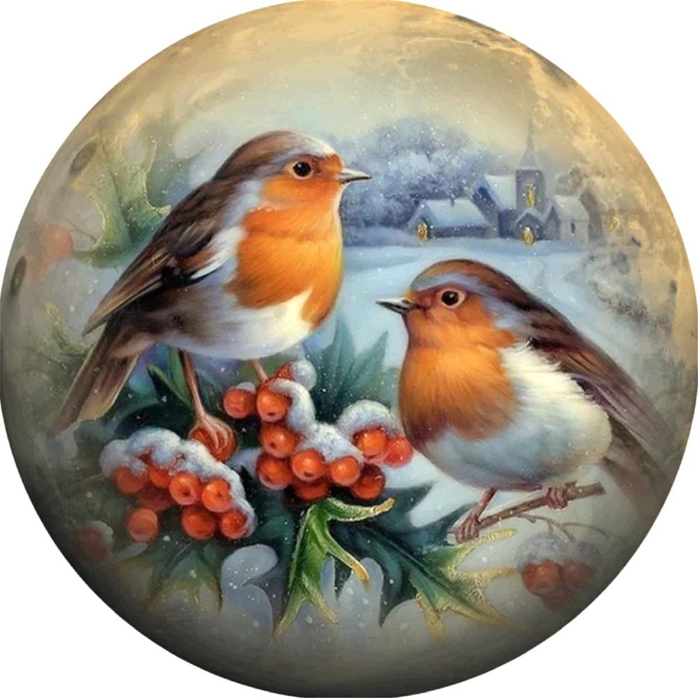 Meecaa Cross Stitch Kits 11 Count Stamped, Bird Berry Snow Animal Embroidery Kit with Accessories Pre Printed (36CMx36CM) (Bird)
