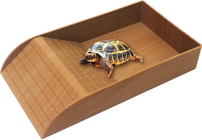 turtle water dish
