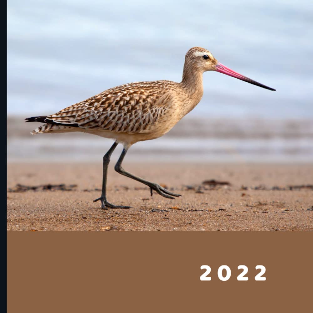 Buy 2022 January 2022 December 2022 12 Month Monthly Photo Buy 2022 January 2022 December 2022 12 Month Monthly Photo