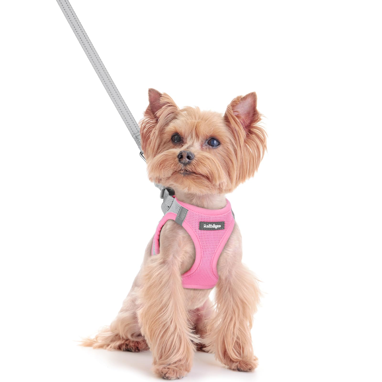 rabbitgoo Dog Harness Small Dog and Leash Set, Step-in Soft Mesh Puppy Harness with Reflective Strips, Lightweight Breathable Pet Vest for Walking Training, Pink & Gray, XXS