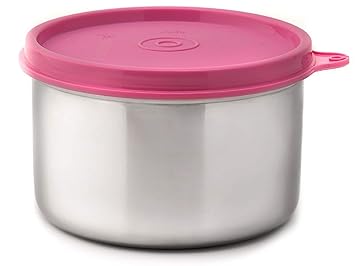Signoraware Executive Big Stainless Steel Container, 500 ml/20mm, Pink