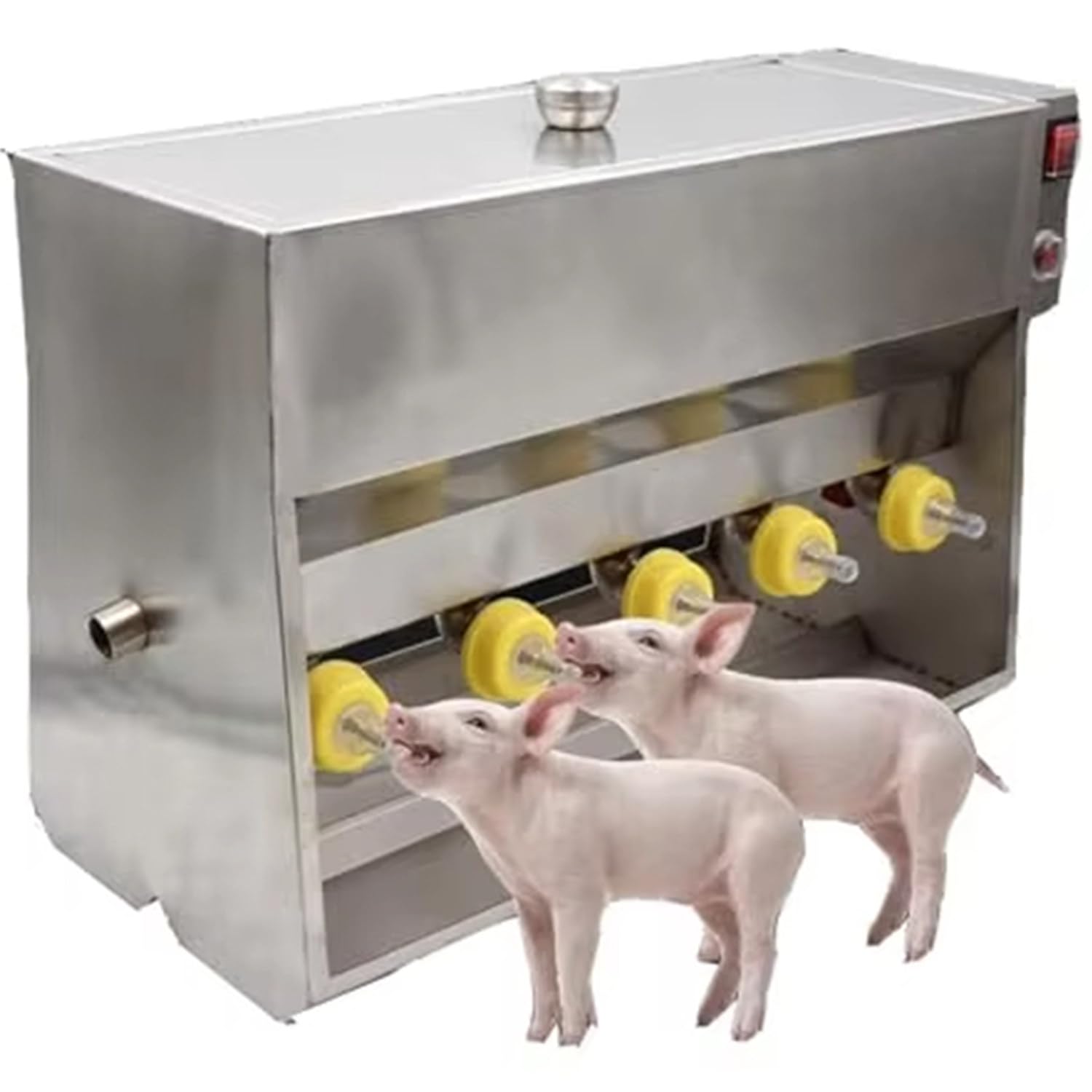 Distributeur automatique de lait pour ferme porcine avec boîte inox et agitation de lait