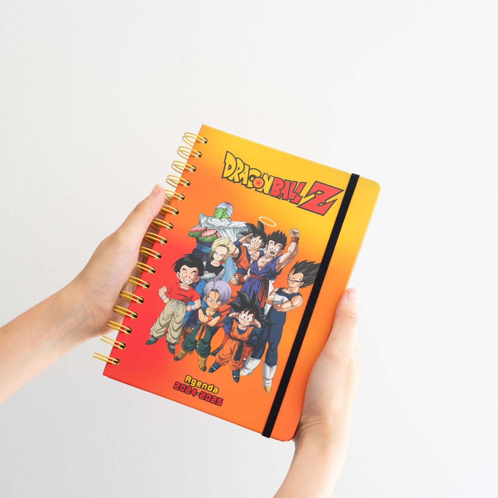 Grupo Erik Dragon Ball Diary 2024-2025 | Volta às aulas 12 meses