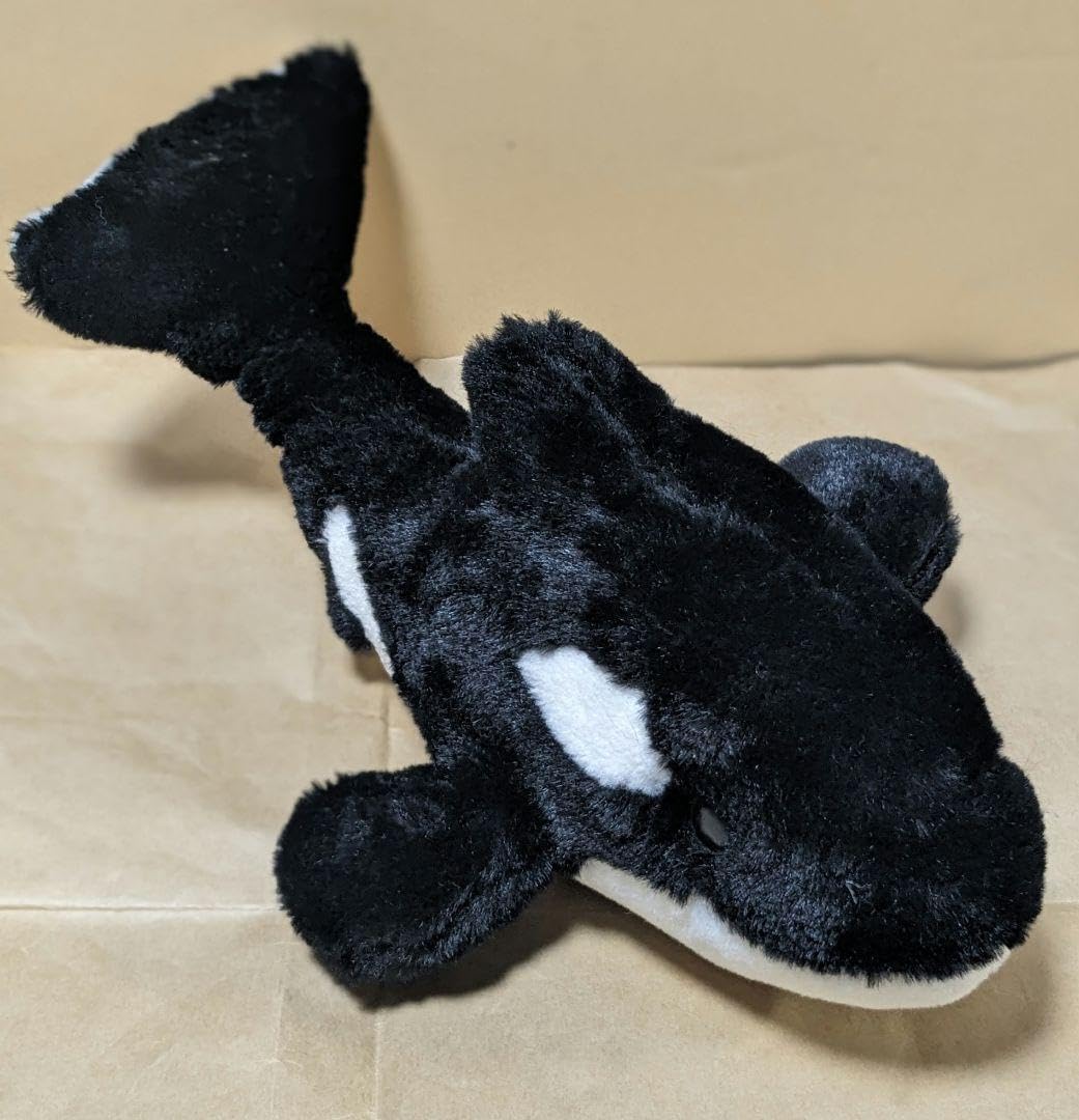 シャチのぬいぐるみ シャチ ぬいぐるみ 水族館 グッズ ISHIWATA シャチくん Lサイズ