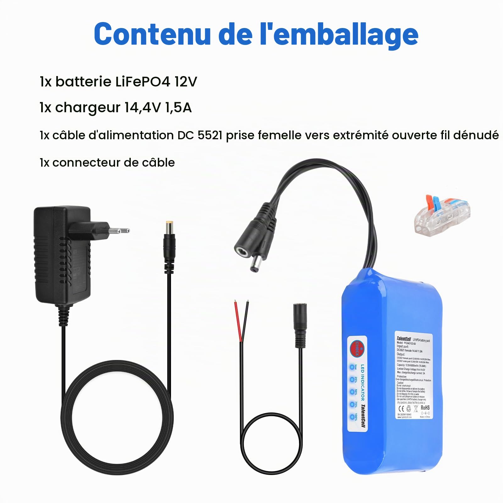 TalentCell Pack de batterie LiFePO4 12V, 3000+ cycles Rechargeable 12,8V 6Ah 76,8Wh Batterie au lithium fer phosphate avec sortie DC 12V pour bande LED, caméra CCTV, routeur, DIY et plus