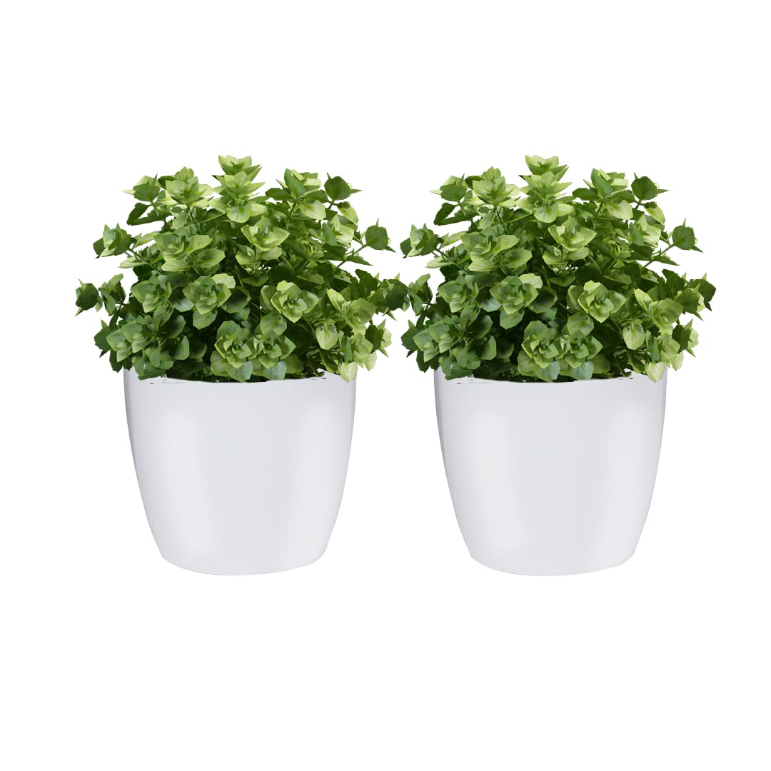 EQUALITY OVERSEAS 7 inch Plastic Planters Ceramic Finish Flower Plant Pots Modern Decorative Gardening Pot White (2) (B09MCPKJJY) Amazon Price History, Amazon Price Tracker