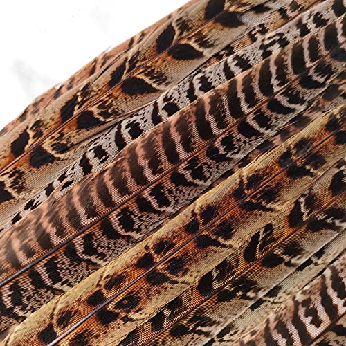 Ihufeather 20Pcs Natural Pheasant Feathers, Female Tails Feathers 6-8Inch For Diy Crafts Wedding Party Centerpieces Christmas Home Decoration #TOP7