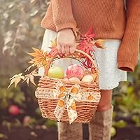 Vista 5 de Hying 2 rollos de cintas de calabaza de otoño para lazos, cintas de borde con alambre de Acción de Gracias, cinta de arpillera a cuadros de búfalo