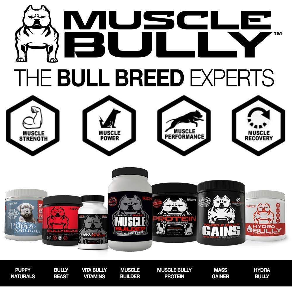 Muscle Bully Protein Supplement for Dogs Supports Muscle Growth