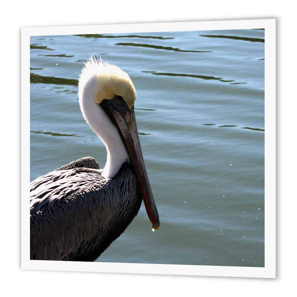 3dRose ht_156170_3 Pelican Head Left Side Against River-Iron on Heat Transfer Paper for White Material, 10 by 10-Inch
