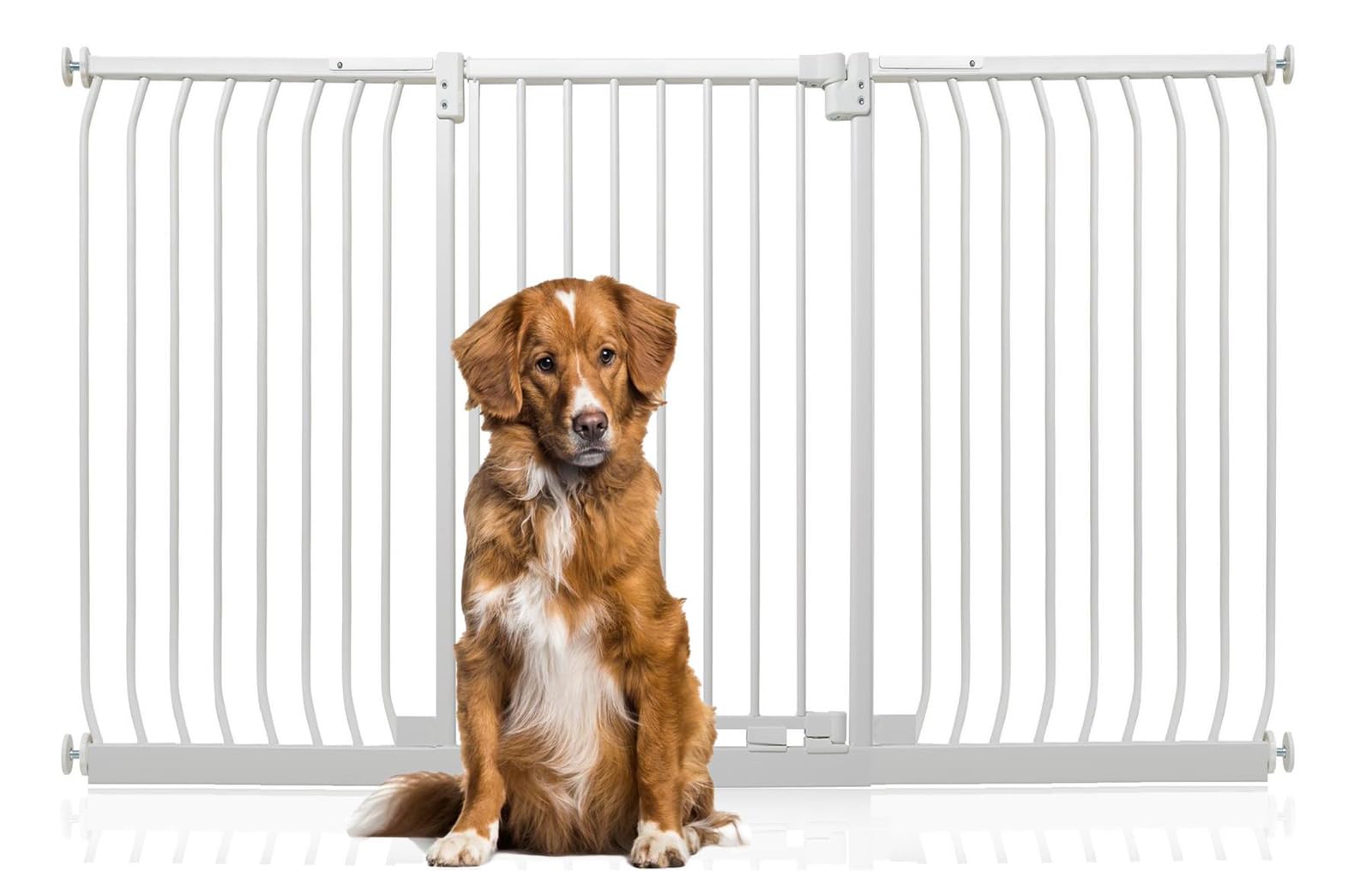 Bettacare Extra Tall Elite Dog Gate188Cm197CmMatt WhiteExtra Tall 96.8Cm In HeightPressure Fit Pet Gate from B&Q