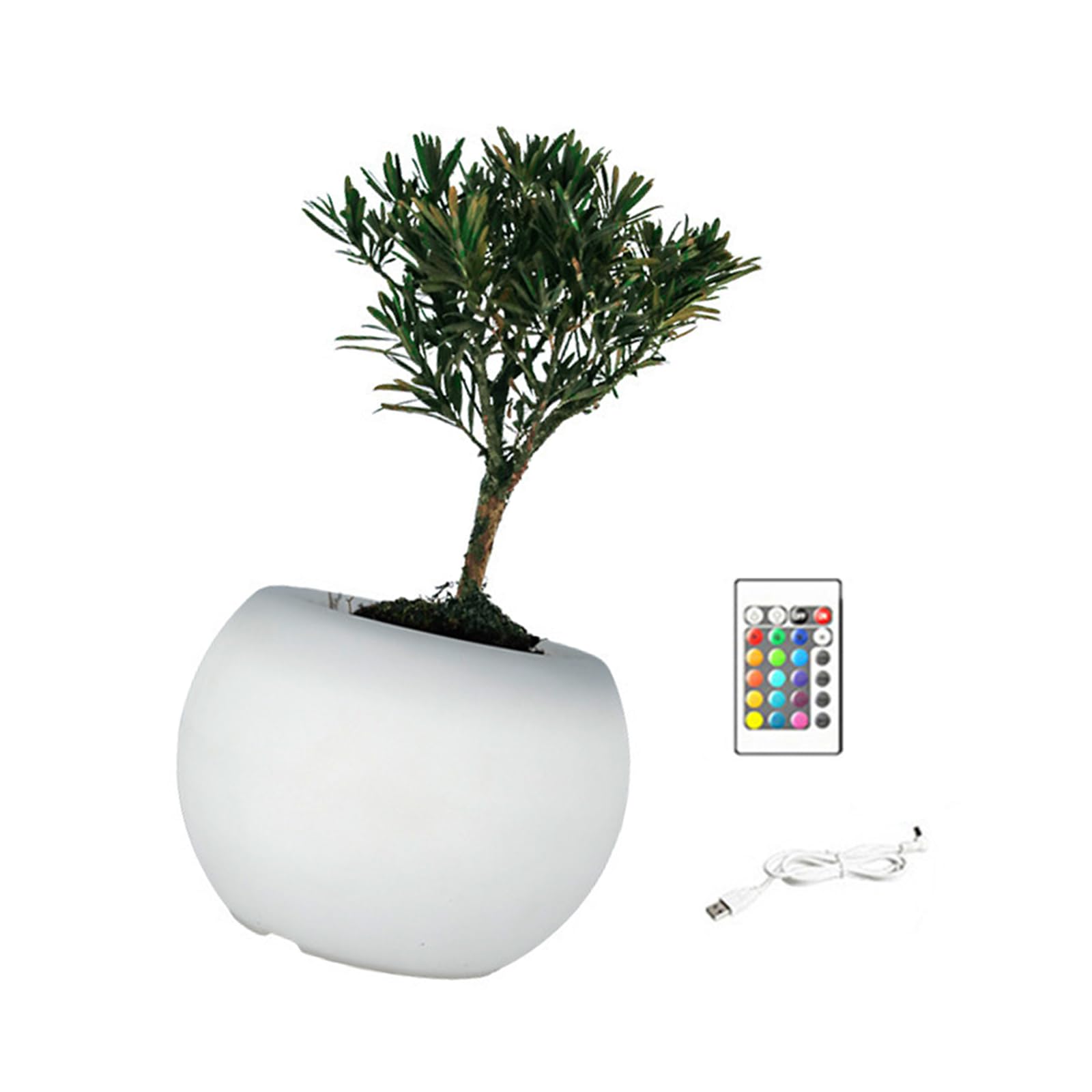 Pots de fleurs LED pour succulentes et outil de jardin intérieur
