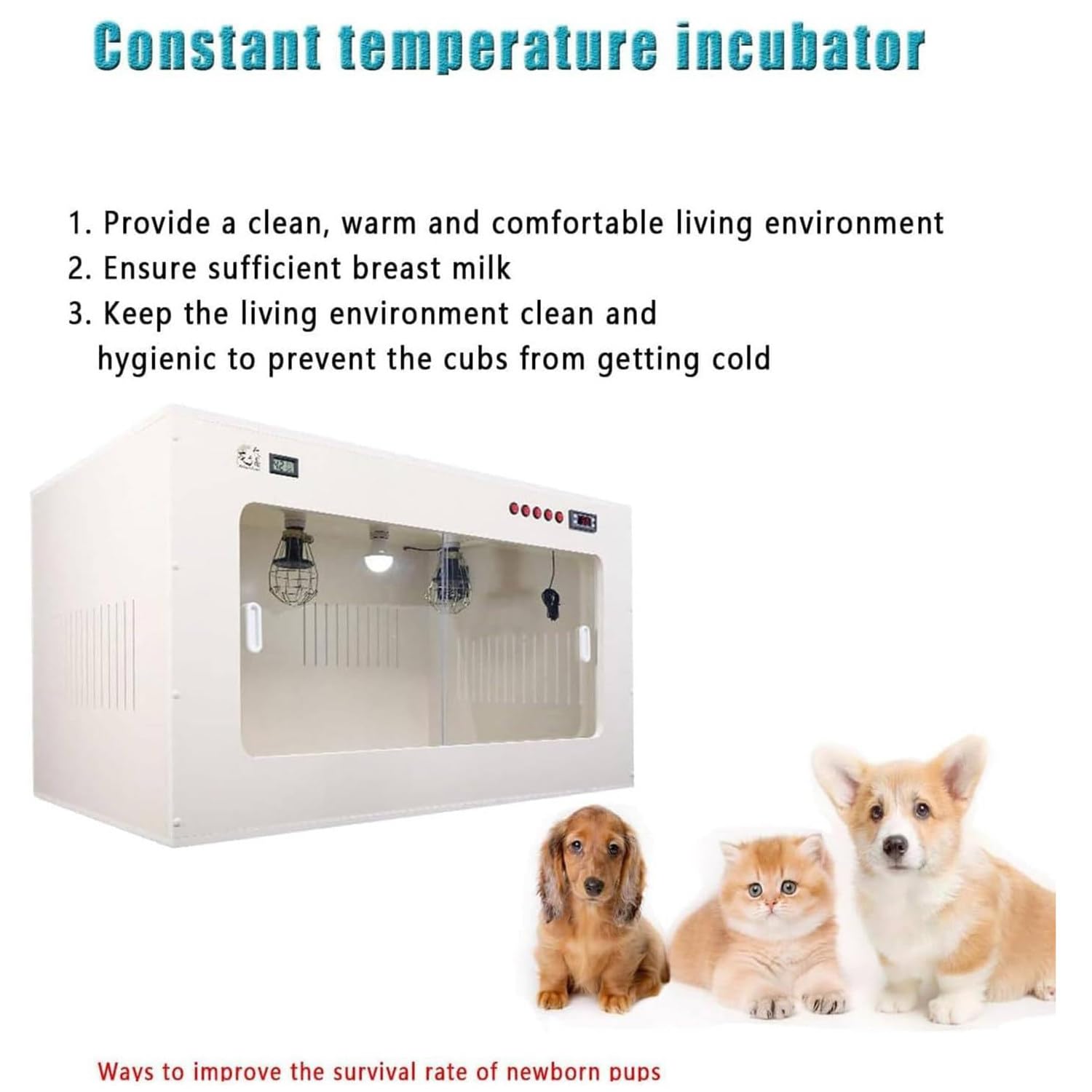 Incubatrice Per Gatti E Cuccioli, Incubatrice Per Animali Domestici Con Riscaldamento, A Temperatura Costante, 60 * 50 * 50cm