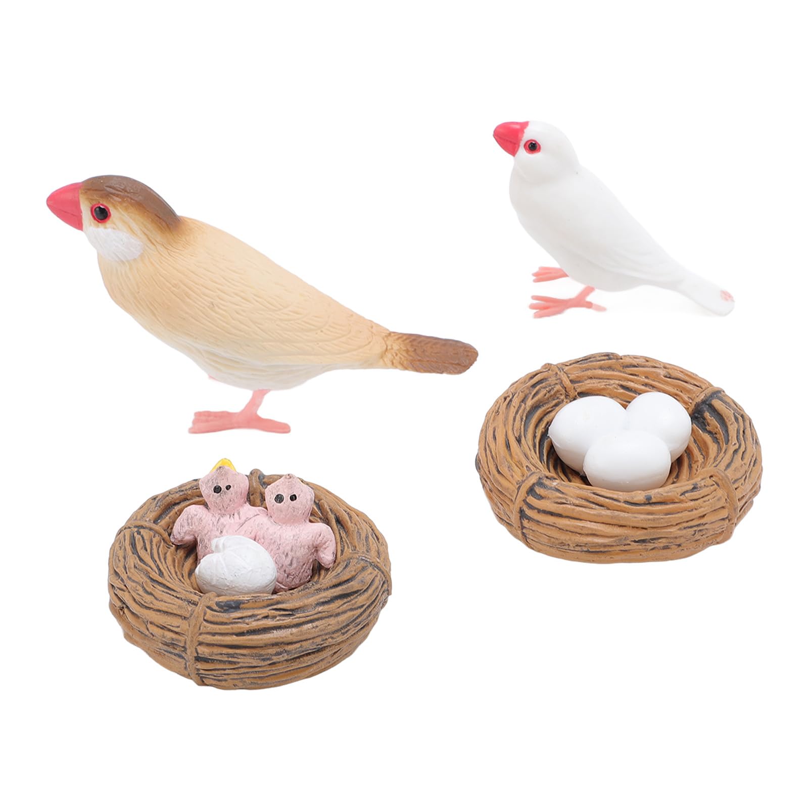 4 Pcs Finch Bird Life Cycle, Realistic Animals Figurines Growth Cycle Toys, Animals Figures Eduactional Project, for Early Childhood Education