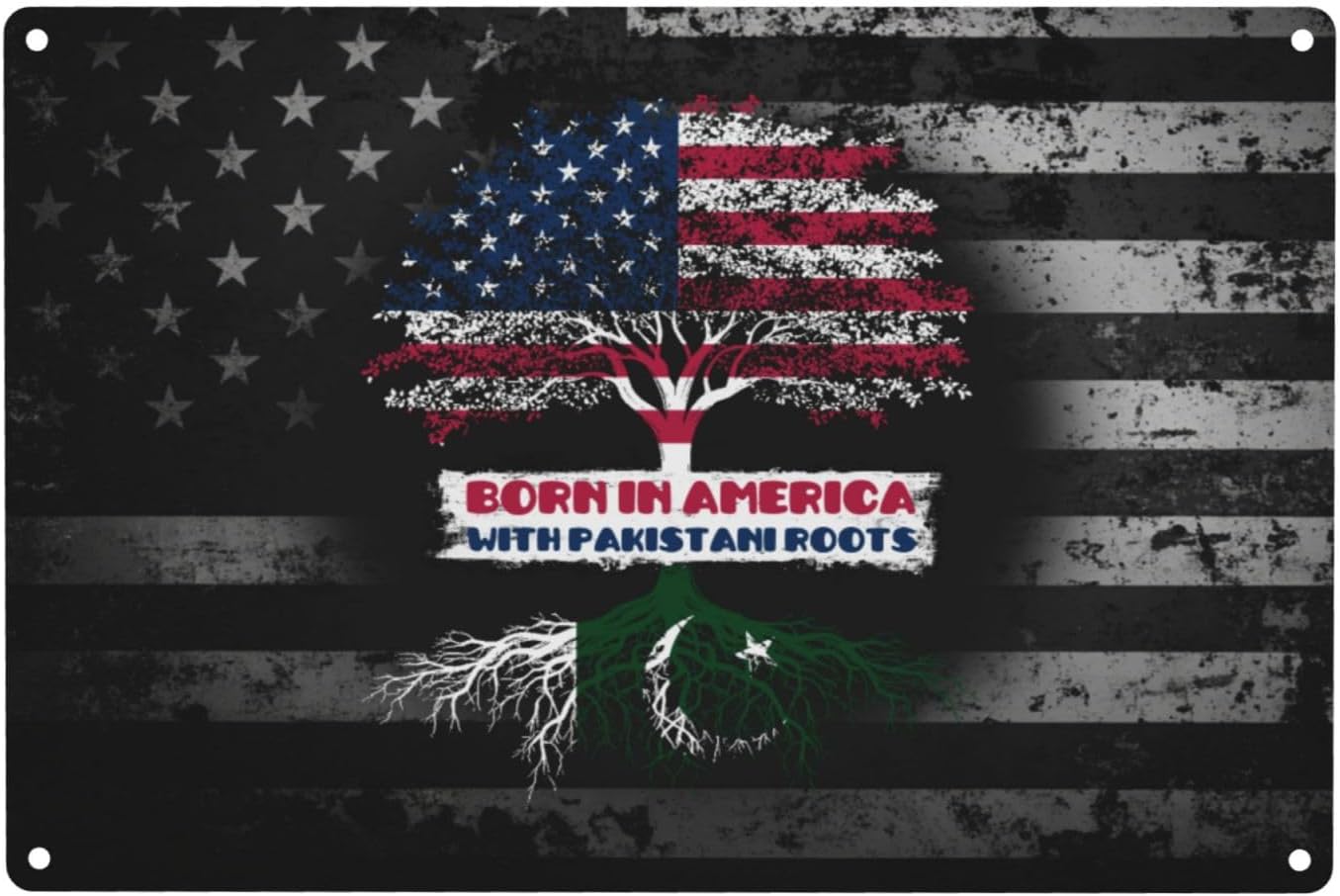Born in America with Pakistani Roots