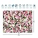 XLL Spring Pink Rose Flower Theme Photography Backdrops 7X5ft Vinyl 3D Pink Floral Newborn Kids Wedding Bridal Shower Photo Background Mother's Day Anniversary Ceremony Couple Props