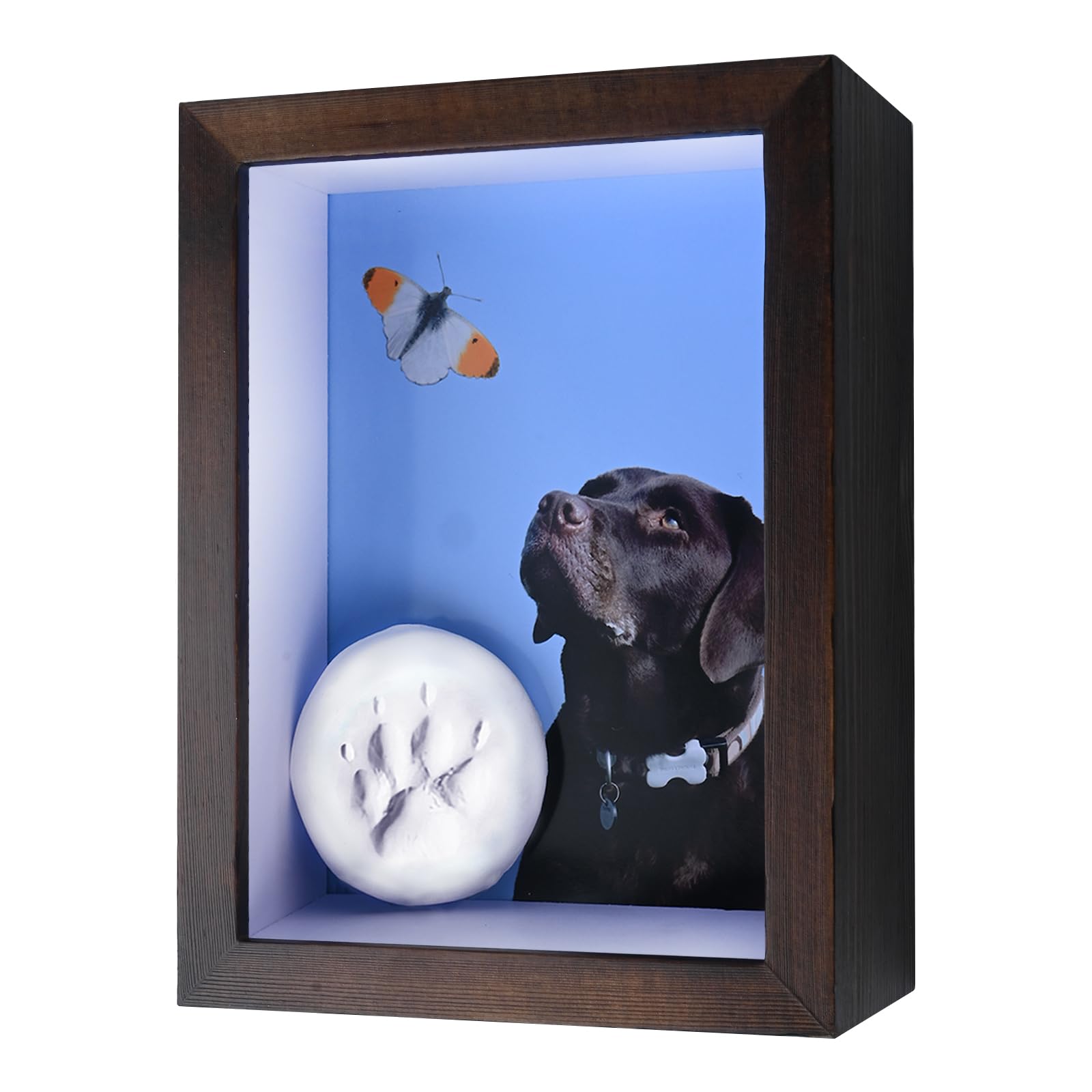 Pet Memorial Shadow Box With Clay Paw Print Kit - Sympathy Gift For ...