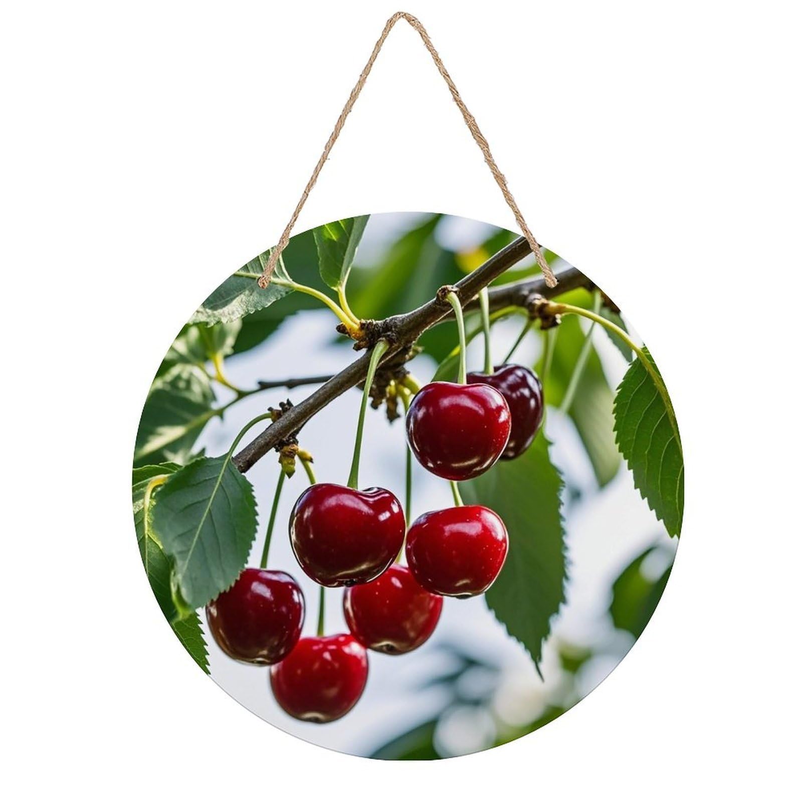 FekiLoot Round Red Cherry Pattern Wall Art Decor Painting Wooden Hanging Sign with Ropes Bohemian Wall Hanging Retro Mid Century Modern Wall Art for Home Bedroom Living Room 7.9x7.9 in