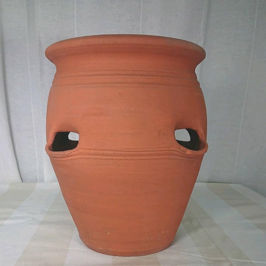 Amazon.co.jp: 素焼き テラコッタ鉢 ストロベリーポット