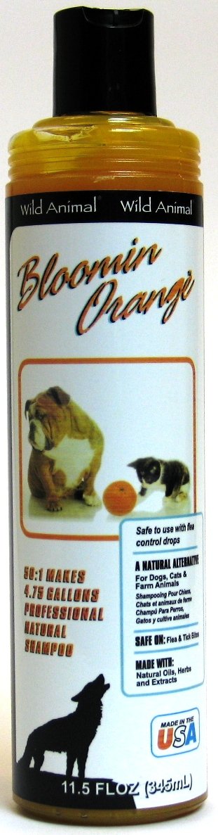 Wild Animal Bloomin Orange Pet Shampoo 12oz KE800912