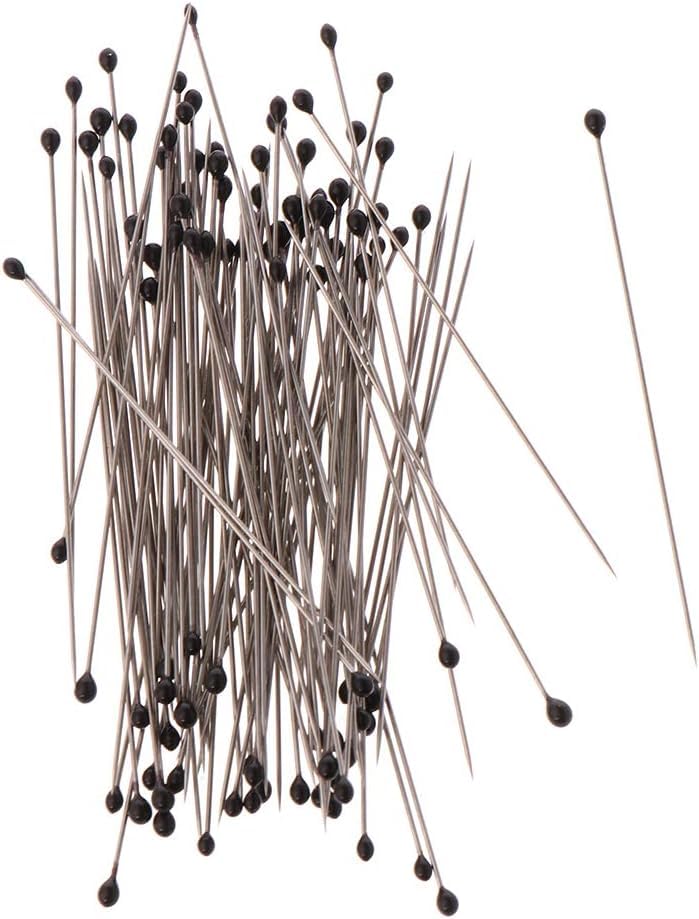 Image of 100 Pcs Insect Pins Specimen Pins Stainless Steel with Plastic Box Resin for Head for Entomology Dissection for Butte, Science Education