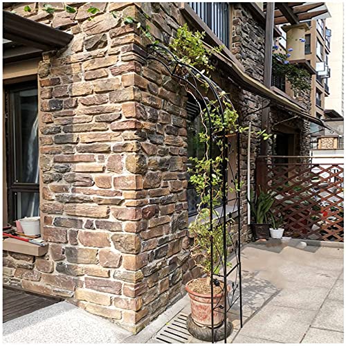 Arco de Jardín Montaje de Pared, Arco para Rosas Semicircular Arco Hierro de Boda 250 x 39 x 75 cm para Plantas Trepadoras, Patio, Decoración de Césped ( Color : Color , Tamaño : 250 x 39 x 75 cm ) Cover