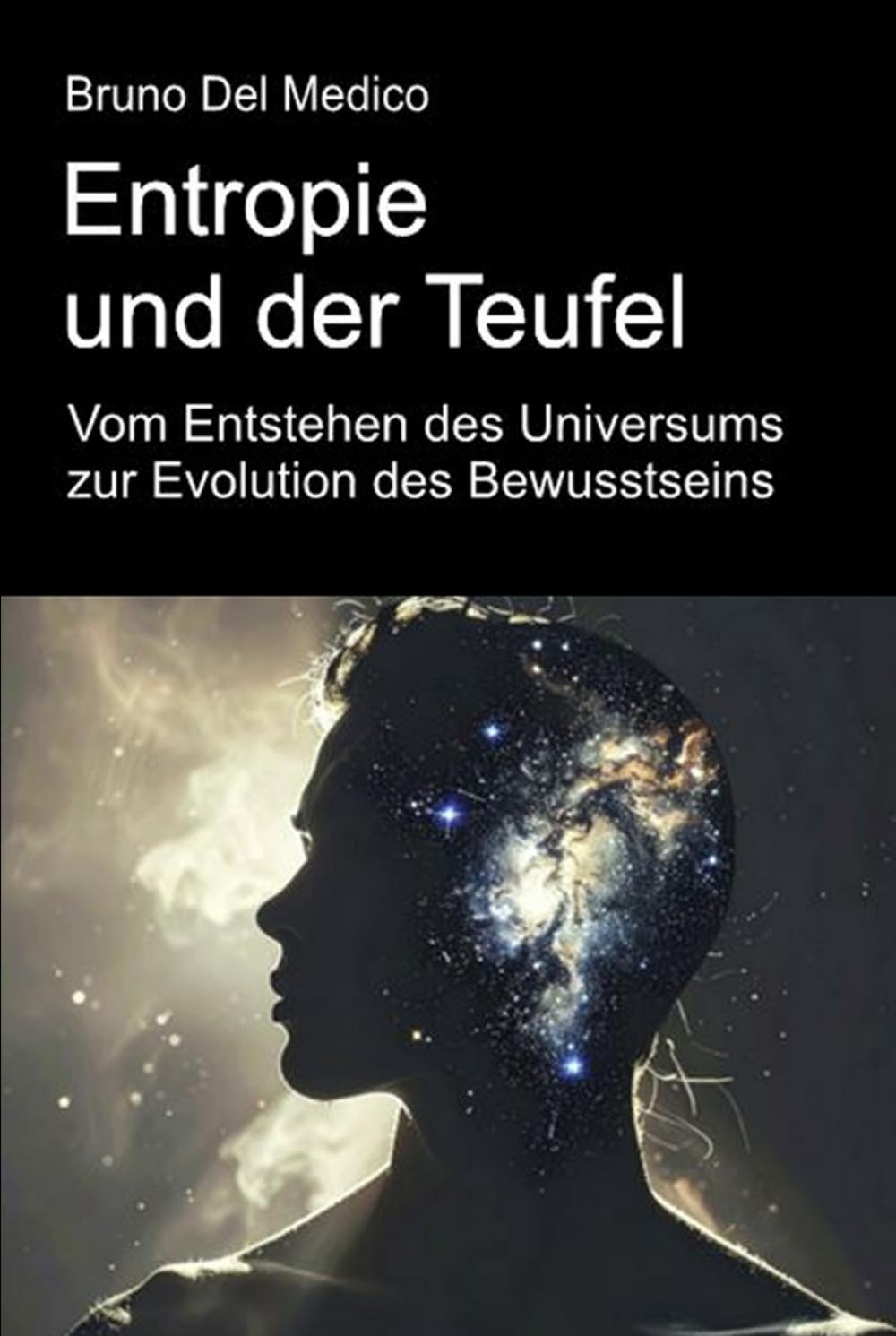 Entropie und der Teufel. Vom Entstehen des Universums zur Evolution des Bewusstseins.: Essay über die kreative Unordnung des Universums und des ... Bruno Del Medico in deutscher Sprache. (TED))