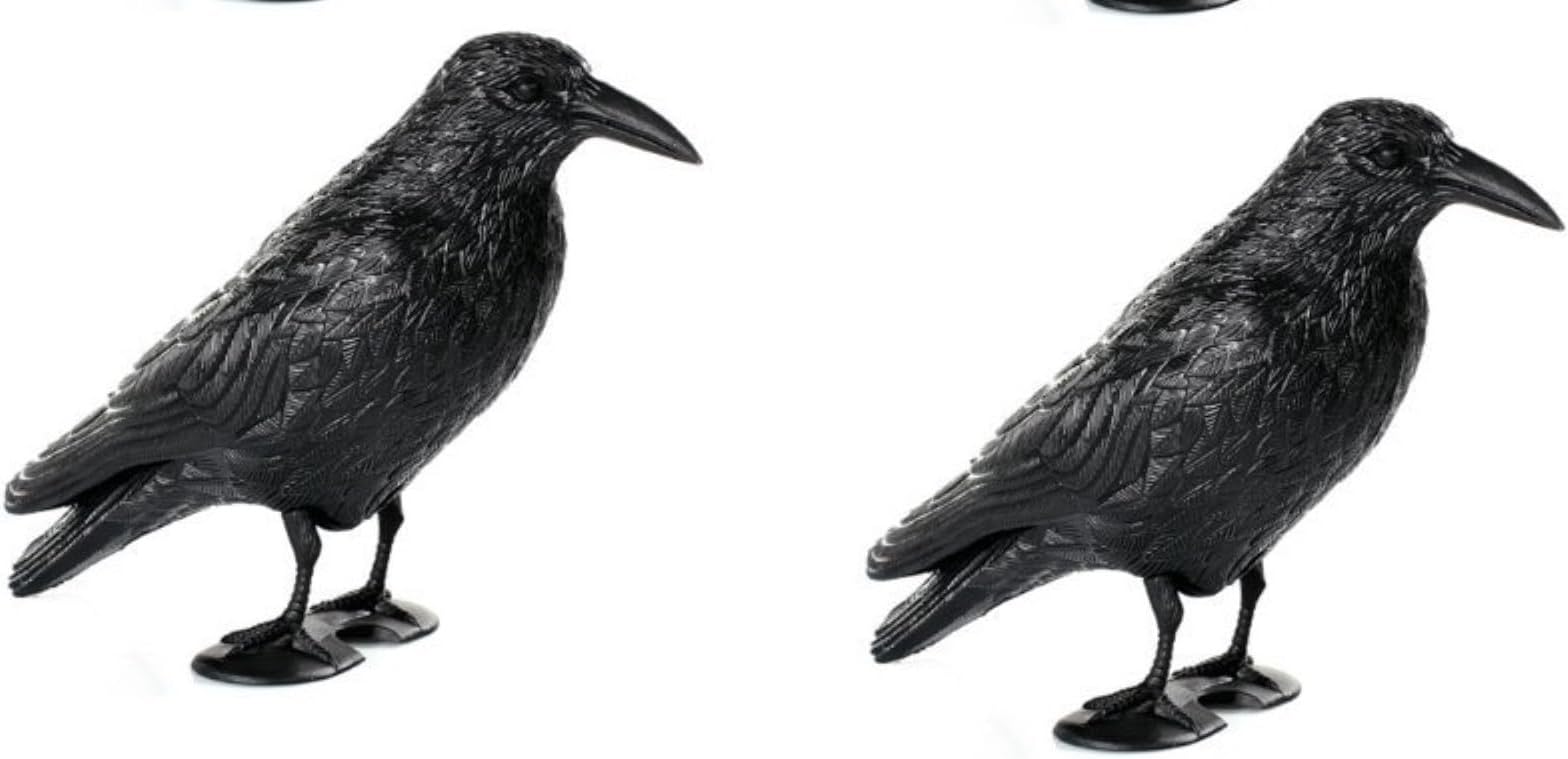 2x plastic black raven with rod and feet as pigeon scarer.