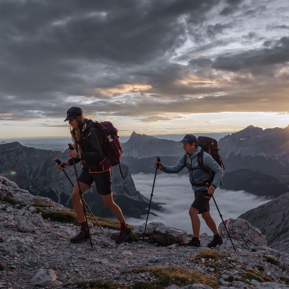 Salewa Kobiety Ws Wildfire Gore-texpółbuty trekkingowe i turystyczne