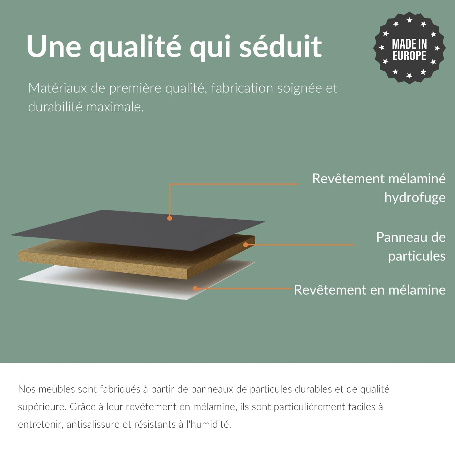 Planetmöbel Meuble TV West, Table TV 100 cm de Long, Meuble Tele Suspendu ou posé au Sol, Table Television pour Salon, Meuble TV 37,8 x 100 x 30 cm, chêne doré Noir Charcoal