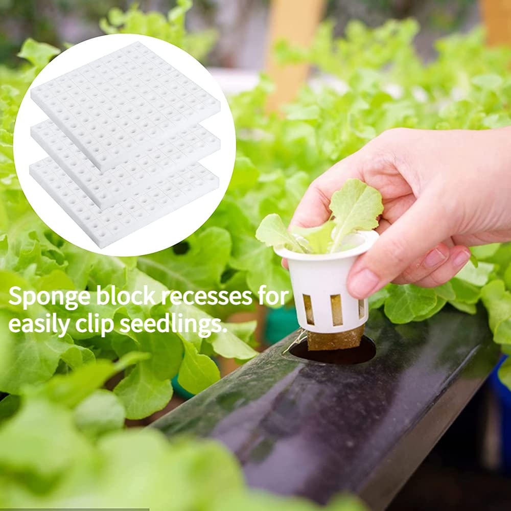 NHP Set 20 Spugne Per Coltivazione Idroponica - Spugne Di Torba Per Semi, Ideali Per Erbe E Ortaggi - Foto 11
