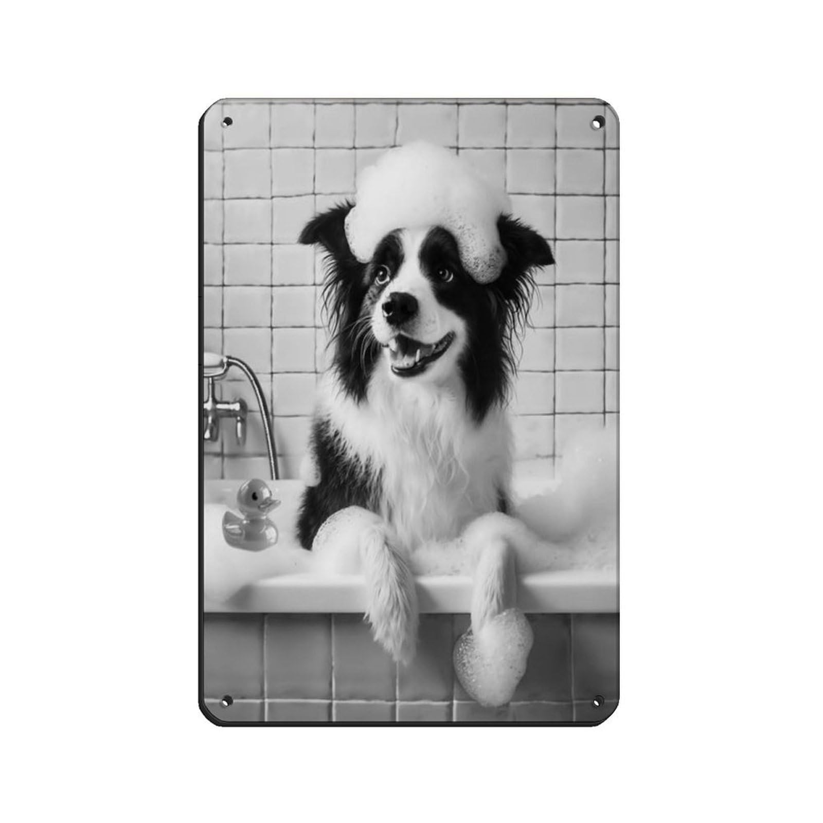 Lxwnze 20L X 30W Cm Border Collie, Funny Bathroom Decor Retro Poster Metal Tin Sign Chic Art Retro Iron Painting Bar People Cave Cafe Family Garage Poster Wall Decoration 8X12inch(20X30cm)