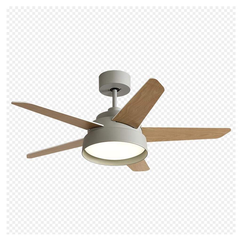 Buy Ceiling Fan Light Ceiling Fan Modern Ceiling Fan with LED Light and