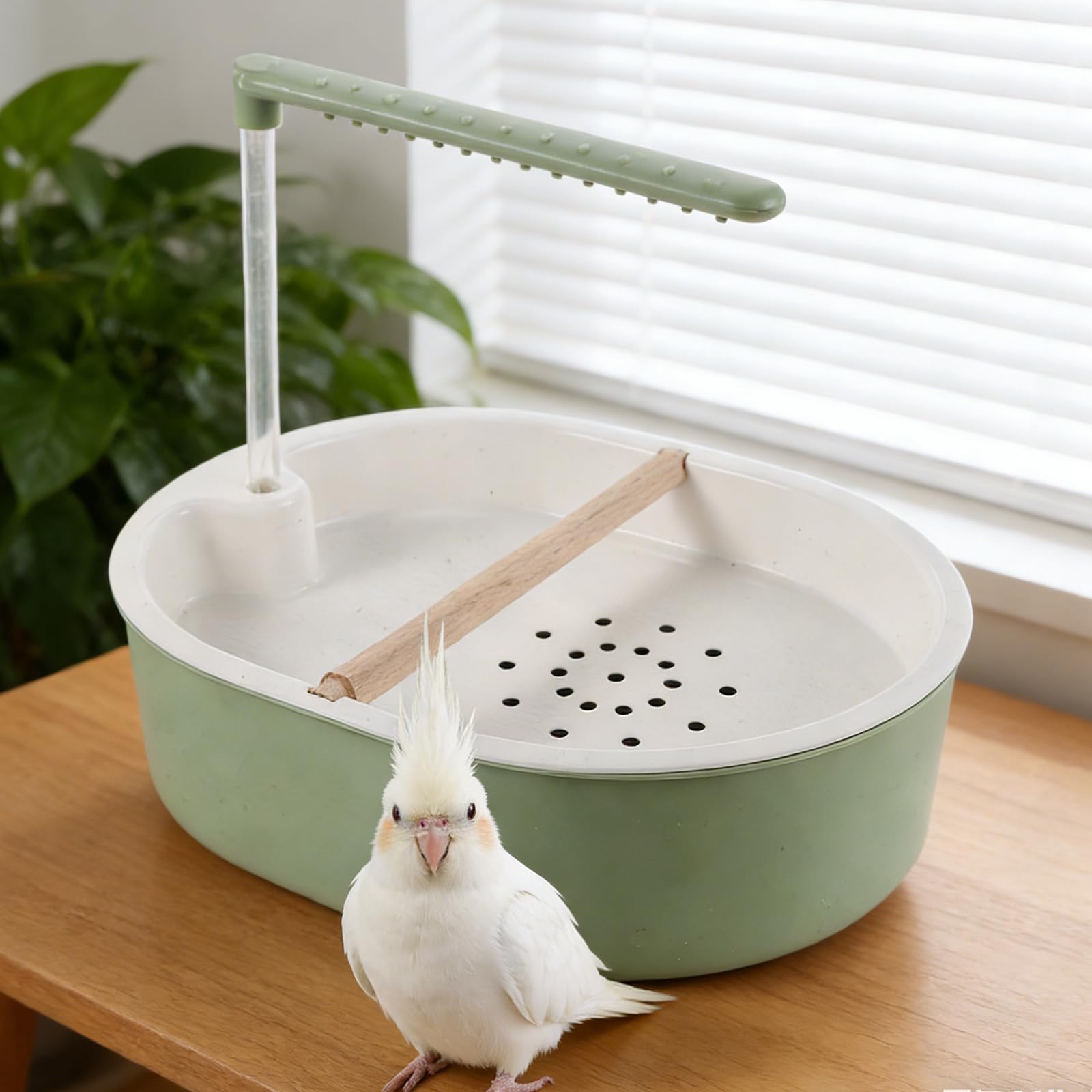 Baño de Ducha para Pájaros Automático con Bomba Ajustable, Bañera Interior de Plástico Azul Grisáceo con Tubo Transparente de 20 Cm y Perchero de Madera de Haya, Accesorio