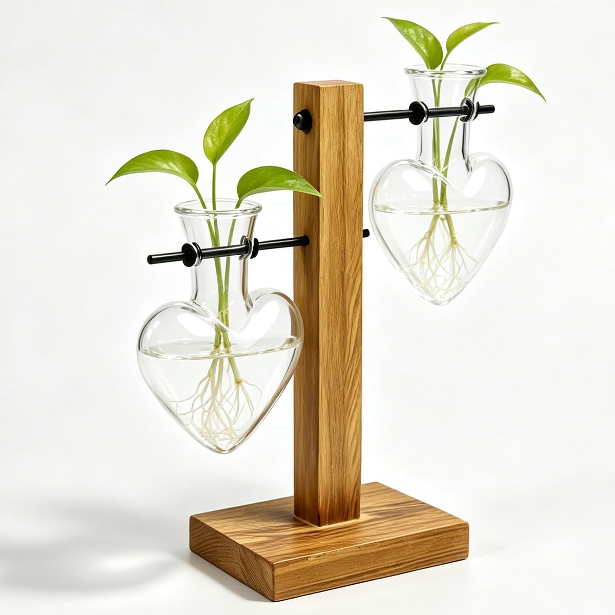 FTISSLY Ableger Pflanzen Glas Hydroponik Glasvase mit Holzständer | Ableger Vermehrungsstation Hydrokultur Vase mit Herzförmige Glaskugeln Hydroponische Glasvase für Blumen Zimmerpflanzen