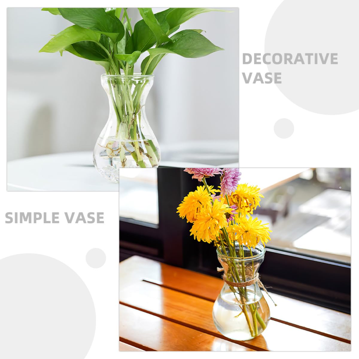 Vase à Jacinthe en Verre 5 Pièces, Transparent, Fond Plat Simple