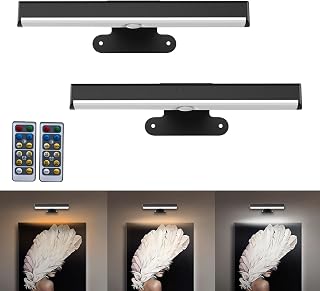 EUIOKUN 2-Pack Wireless LED Picture Lights: Battery Operated Dimmable Wall Lights for Paintings, Art, Portraits with Remote & Timer (3000K-6000K)