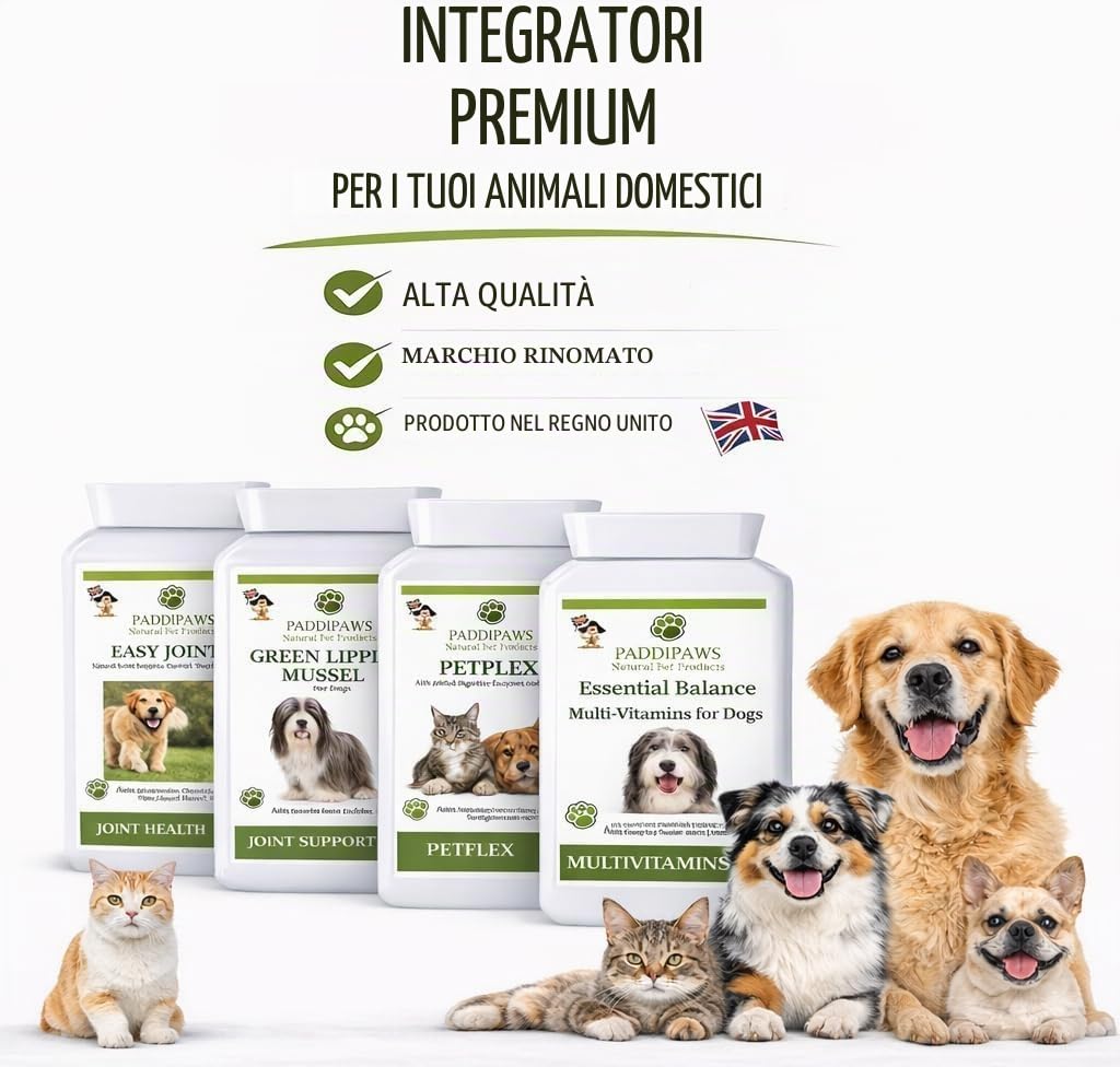Not Tonight Fido Bitch Spray 100% Naturale Anti-Mate Spray per Cani Aiuta a scoraggiare l'attenzione indesiderata dei cani maschi.