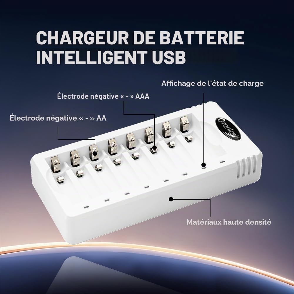 Granicell Kit de Chargeur avec 8 Piles AA et 8 Piles AAA Rechargeables NiMH - Charge Rapide